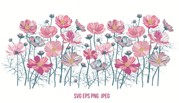Flower Border Cosmos Graphics & Illustrations