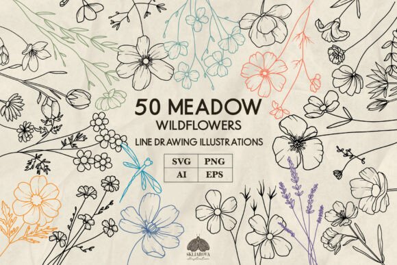 Meadow Wildflowers Line Art: Graphics & Illustrations
